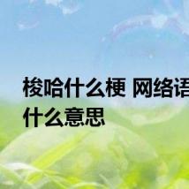 梭哈什么梗 网络语梭哈什么意思