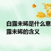 白露未晞是什么意思 白露未晞的含义