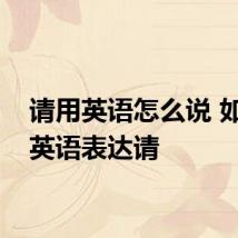 请用英语怎么说 如何用英语表达请