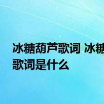冰糖葫芦歌词 冰糖葫芦歌词是什么