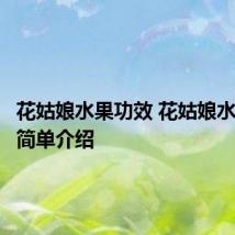花姑娘水果功效 花姑娘水果功效简单介绍