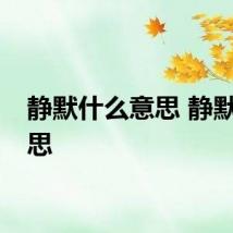 静默什么意思 静默的意思