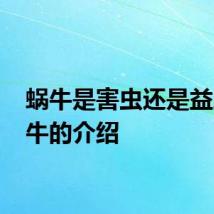 蜗牛是害虫还是益虫 蜗牛的介绍