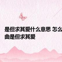 是但求其爱什么意思 怎么理解歌曲是但求其爱