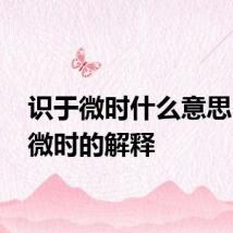 识于微时什么意思 识于微时的解释