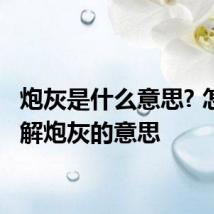 炮灰是什么意思? 怎么理解炮灰的意思