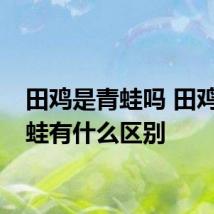 田鸡是青蛙吗 田鸡和青蛙有什么区别