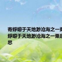 寄蜉蝣于天地渺沧海之一粟意思 寄蜉蝣于天地渺沧海之一粟是什么意思