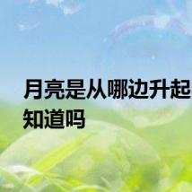 月亮是从哪边升起的 你知道吗
