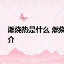 燃烧热是什么 燃烧热简介