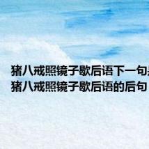 猪八戒照镜子歇后语下一句是什么 猪八戒照镜子歇后语的后句