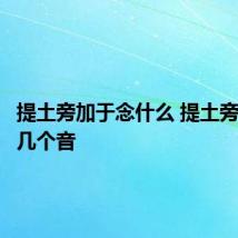 提土旁加于念什么 提土旁加于有几个音