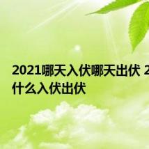 2021哪天入伏哪天出伏 2021是什么入伏出伏