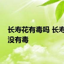 长寿花有毒吗 长寿花有没有毒