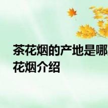 茶花烟的产地是哪里 茶花烟介绍