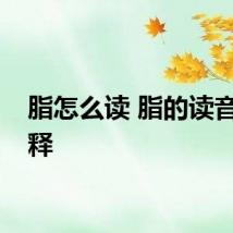 脂怎么读 脂的读音和解释