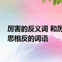 厉害的反义词 和厉害意思相反的词语