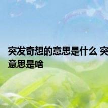 突发奇想的意思是什么 突发奇想意思是啥