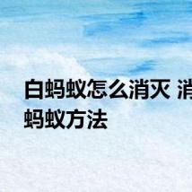 白蚂蚁怎么消灭 消灭白蚂蚁方法