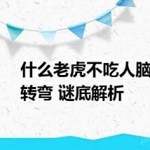 什么老虎不吃人脑筋急转弯 谜底解析