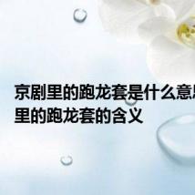 京剧里的跑龙套是什么意思 京剧里的跑龙套的含义