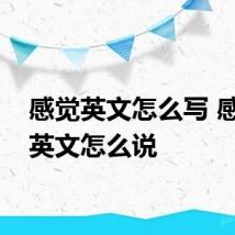 感觉英文怎么写 感觉用英文怎么说