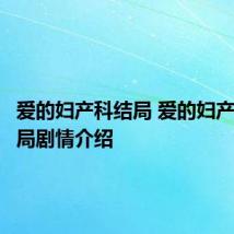 爱的妇产科结局 爱的妇产科大结局剧情介绍