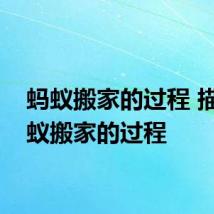 蚂蚁搬家的过程 描写蚂蚁搬家的过程