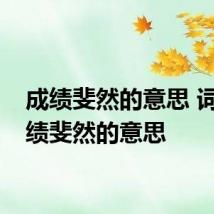 成绩斐然的意思 词语成绩斐然的意思
