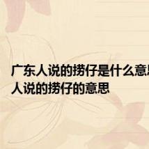 广东人说的捞仔是什么意思 广东人说的捞仔的意思