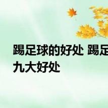 踢足球的好处 踢足球的九大好处