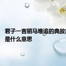 君子一言驷马难追的典故出自于 是什么意思