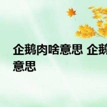 企鹅肉啥意思 企鹅肉的意思