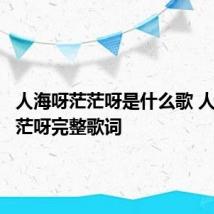 人海呀茫茫呀是什么歌 人海呀茫茫呀完整歌词