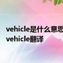 vehicle是什么意思中文 vehicle翻译