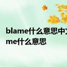 blame什么意思中文 blame什么意思