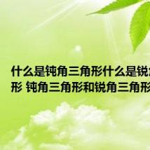 什么是钝角三角形什么是锐角三角形 钝角三角形和锐角三角形的定义