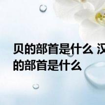 贝的部首是什么 汉字贝的部首是什么