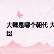 大魏是哪个朝代 大魏介绍