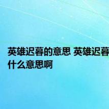 英雄迟暮的意思 英雄迟暮到底是什么意思啊