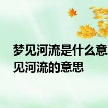 梦见河流是什么意思 梦见河流的意思