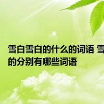 雪白雪白的什么的词语 雪白雪白的分别有哪些词语