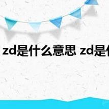 zd是什么意思 zd是什么