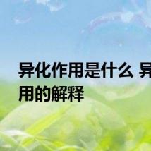 异化作用是什么 异化作用的解释