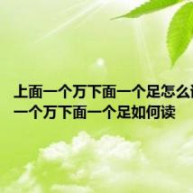 上面一个万下面一个足怎么读 上面一个万下面一个足如何读