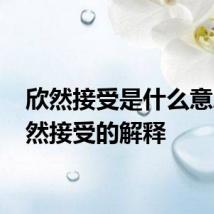 欣然接受是什么意思 欣然接受的解释