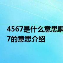 4567是什么意思啊 4567的意思介绍