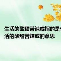 生活的酸甜苦辣咸指的是什么 生活的酸甜苦辣咸的意思