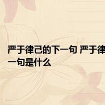 严于律己的下一句 严于律己的下一句是什么