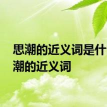 思潮的近义词是什么 思潮的近义词